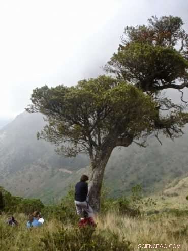 Laia Andreu-Hayles Studies Tropical Forests to Understand Climate Change