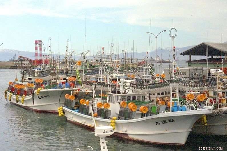 Mercury in Seafood: Are We Eating Safe Fish?