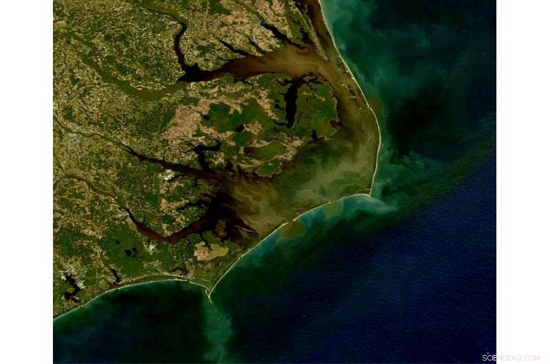 How Two Decades of Hurricanes Have Reshaped Coastal Ecosystems: Algae Blooms, Fish Kills, and Dead Zones