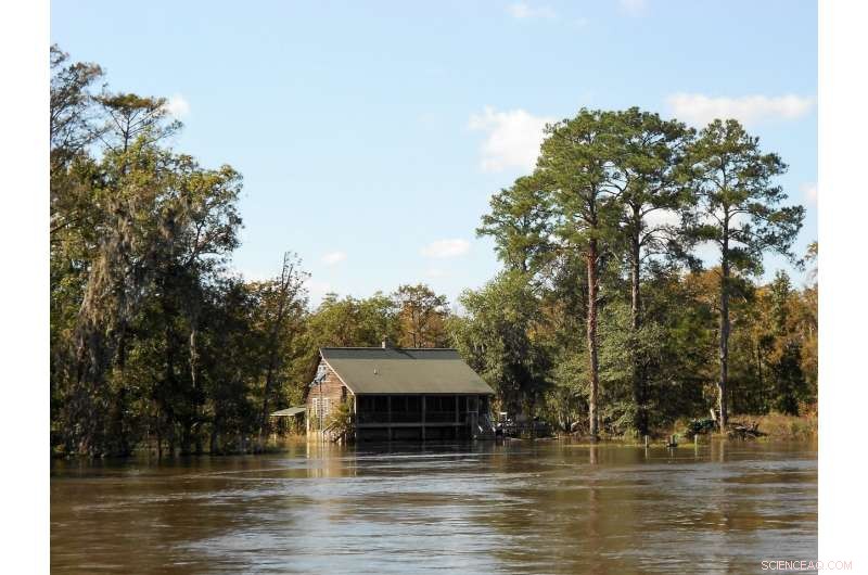 How Two Decades of Hurricanes Have Reshaped Coastal Ecosystems: Algae Blooms, Fish Kills, and Dead Zones