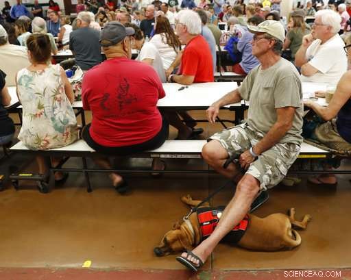 Kilauea Volcano in Hawaii Surges with Lava, Earthquakes and Gas Emissions