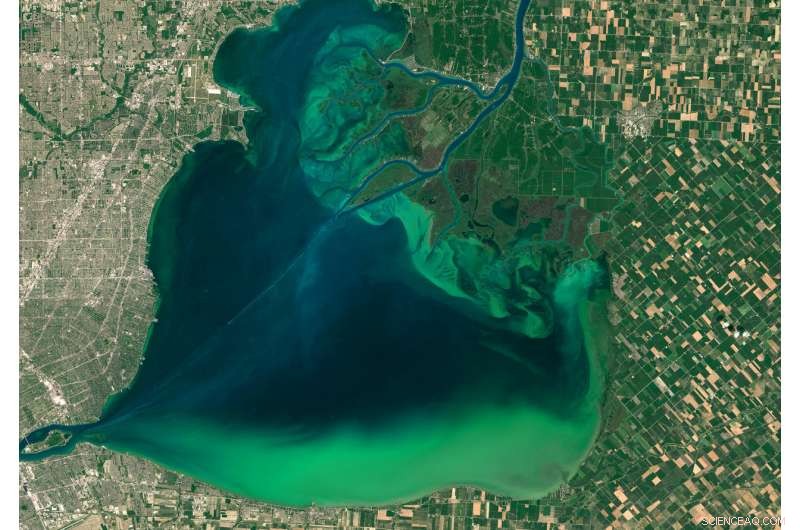 Dead Zones: A Global Water Pollution Crisis and the Path to Recovery