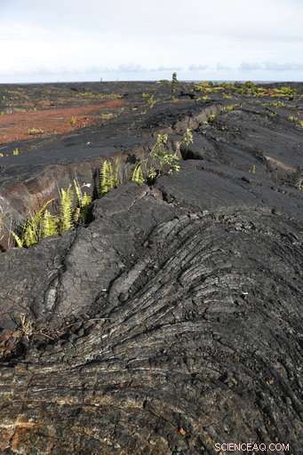 Kilauea Volcano Erupts, Destroying Over 24 Homes in Hawaii