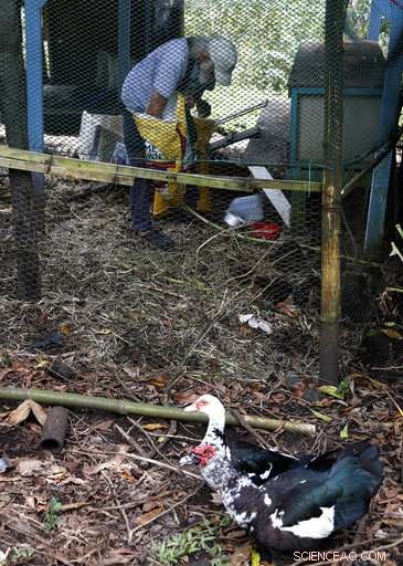 Volcano Forces Residents to Decide: Stay or Evacuate?