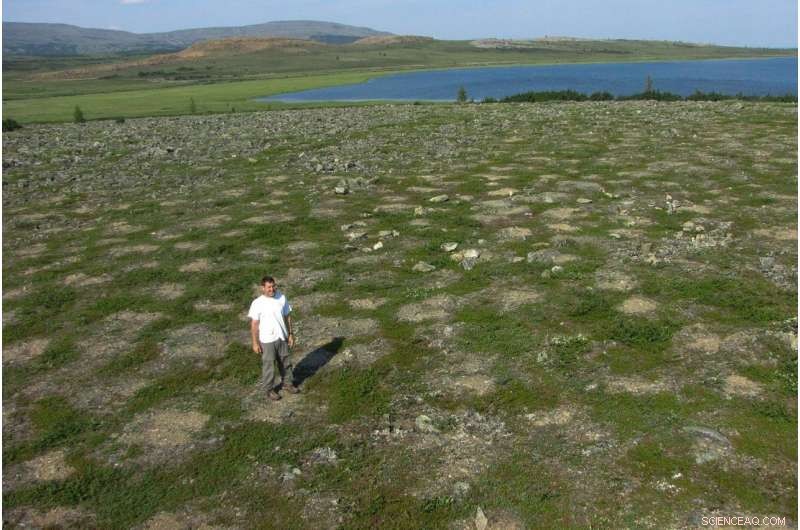 Tracking Arctic Greening: Satellite Insights into Northern Ecosystem Changes