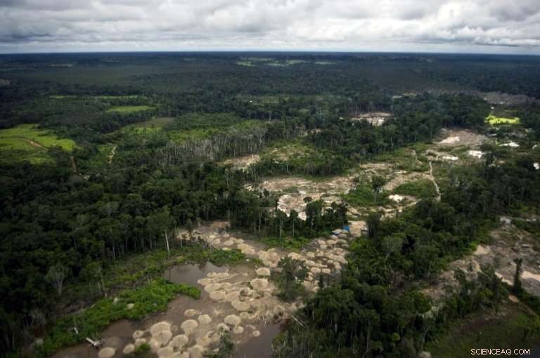 Peruvian Amazon Faces Rapid Deforestation, Says Environmental Authorities