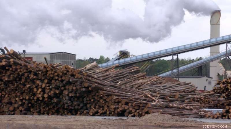 Is Wood-Fired Power Truly Carbon-Neutral? EPA Claims Under Scrutiny