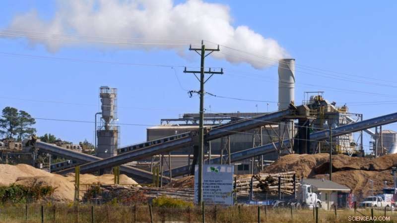 Is Wood-Fired Power Truly Carbon-Neutral? EPA Claims Under Scrutiny