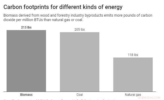 Is Wood-Fired Power Truly Carbon-Neutral? EPA Claims Under Scrutiny