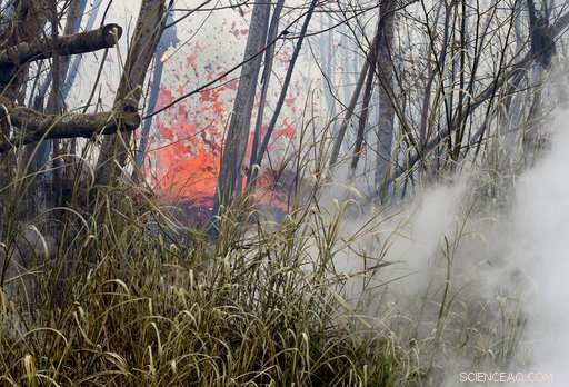Volcanic Gases Trigger Mandatory Evacuation of Hawaii Residents