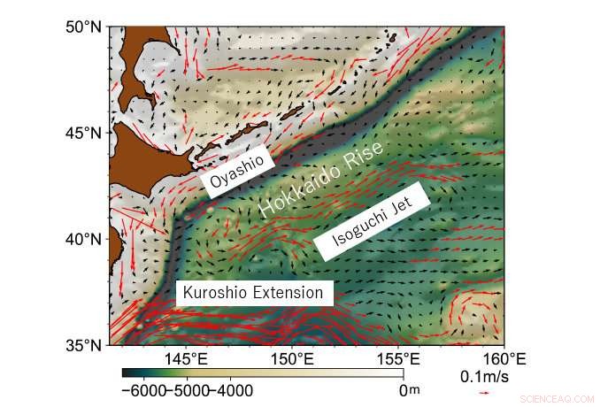 How Ocean Floor Topography Shapes Surface Ocean Dynamics