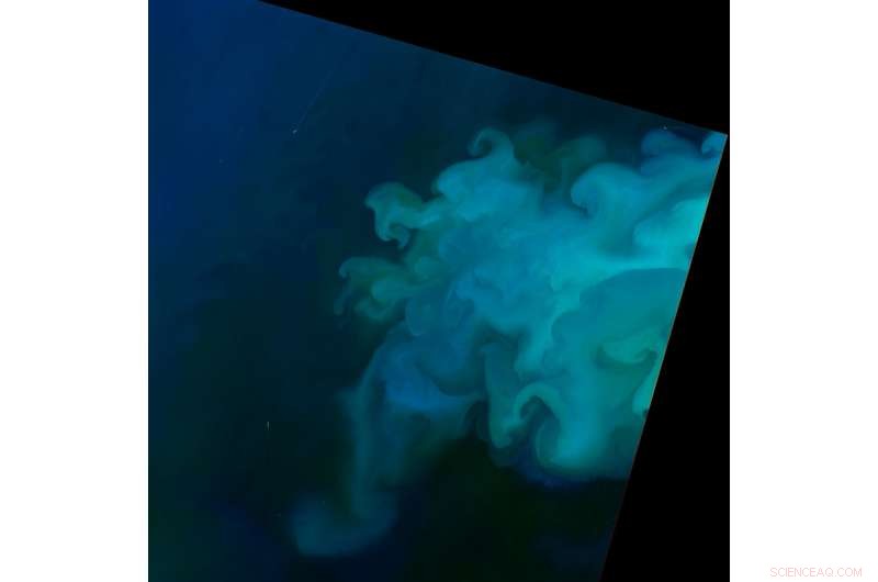 Vibrant Spring Spectacle: Colorful North Sea Landscape