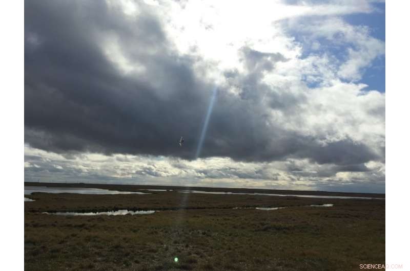 Arctic Climate Research: Scientists Deploy UAVs to Study Rapid Atmospheric Changes