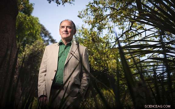 Harnessing Legumes for a Sustainable Agricultural Future