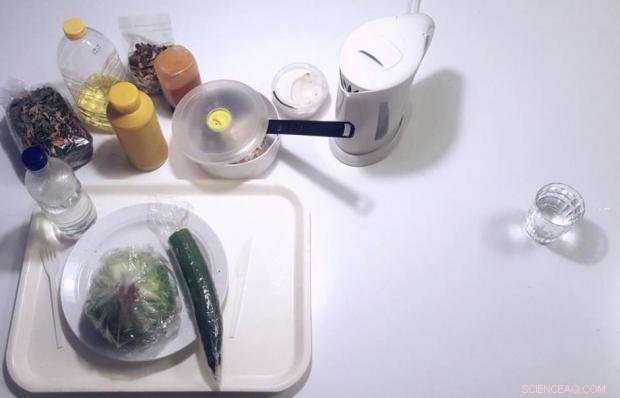 Microplastics in Honey and Beer: Highlighting a Broader Environmental Threat