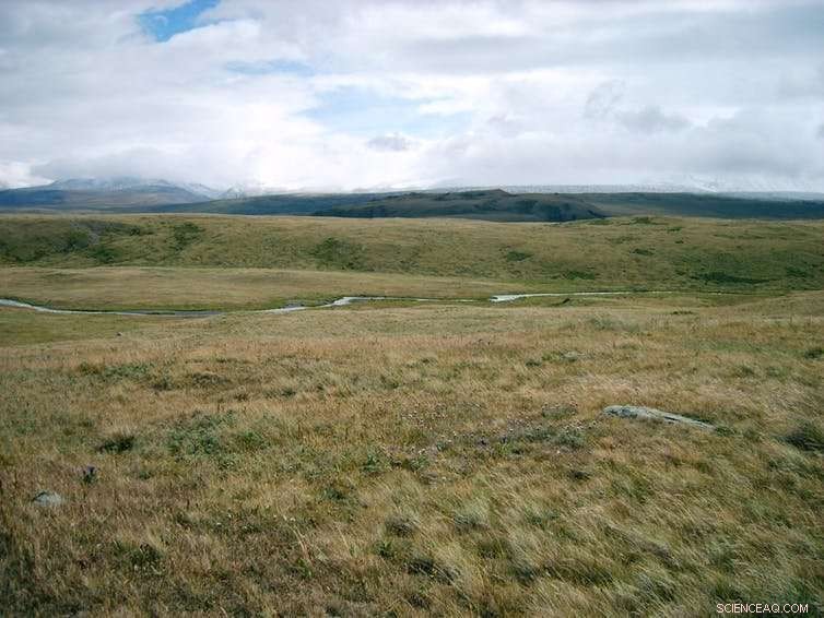 Could Reintroducing Mammoths Curb Arctic Climate Change?