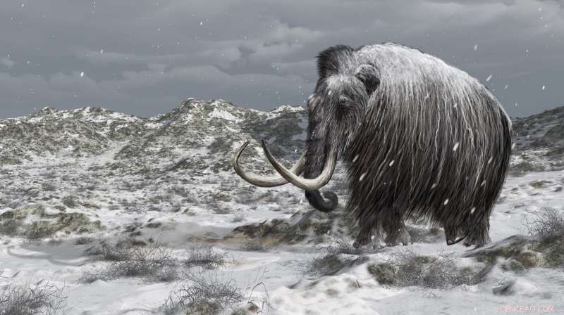 Could Reintroducing Mammoths Curb Arctic Climate Change?