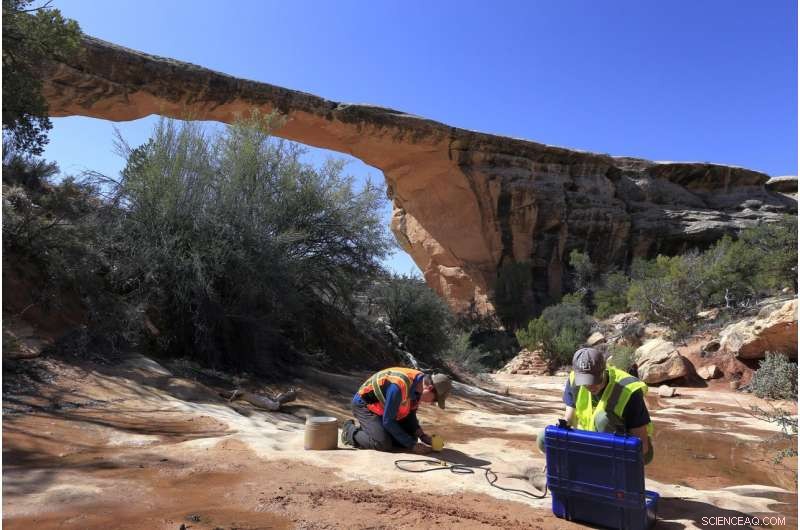 Tracking Vibrations to Predict Collapse of Natural Rock Arches