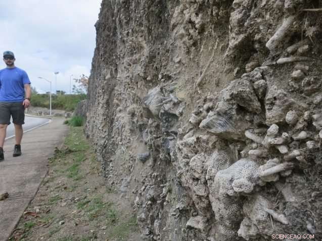 Sea Level Rise on Tropical Islands: What Barbados Reveals