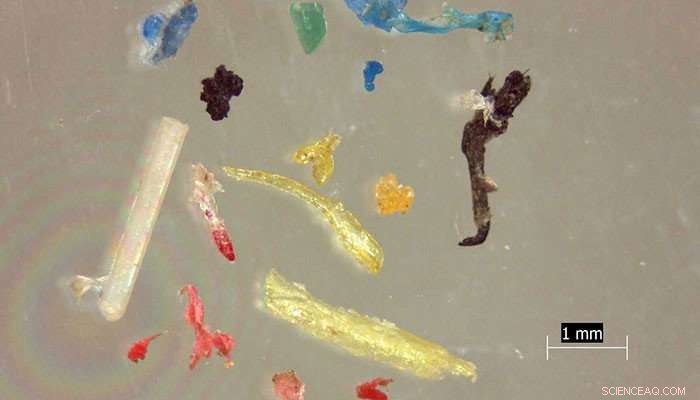 Microlitter in Wastewater: A Growing Challenge for Treatment Plants