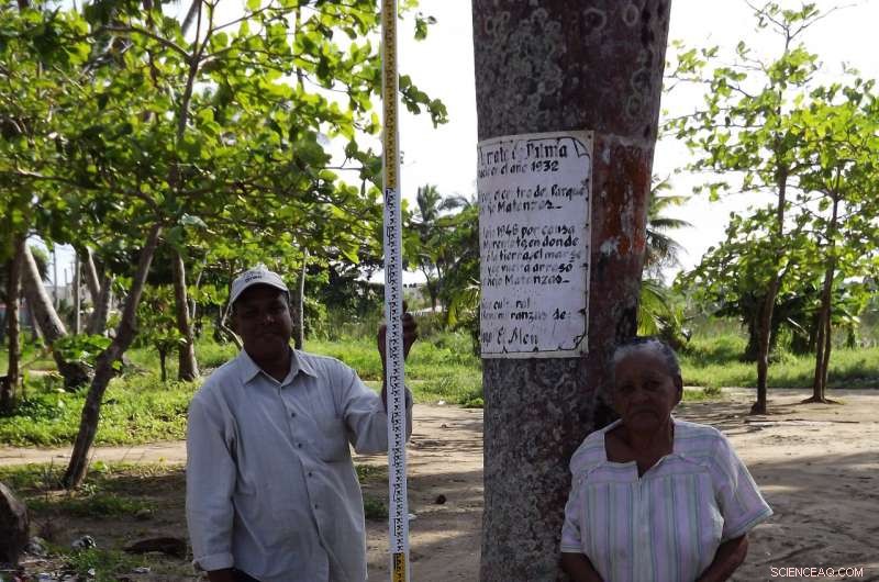 1946 Dominican Republic Tsunami: Eyewitness Accounts Illuminate the Tragedy