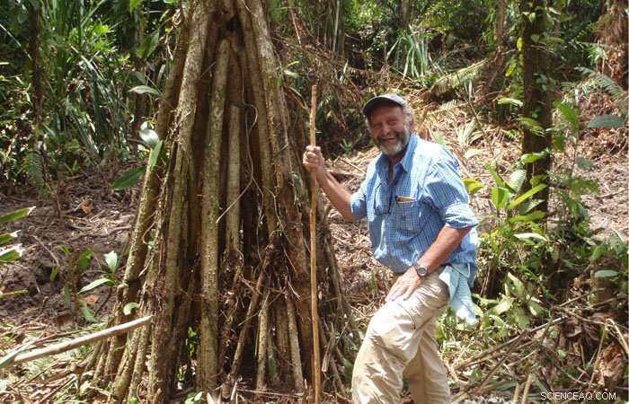 Smithsonian Safeguards a Premier Geology Rock Collection