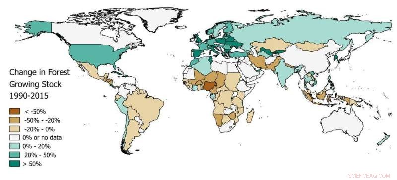 New Study Reveals Forest Growth Thrives in Regions of Rising Human Well-Being