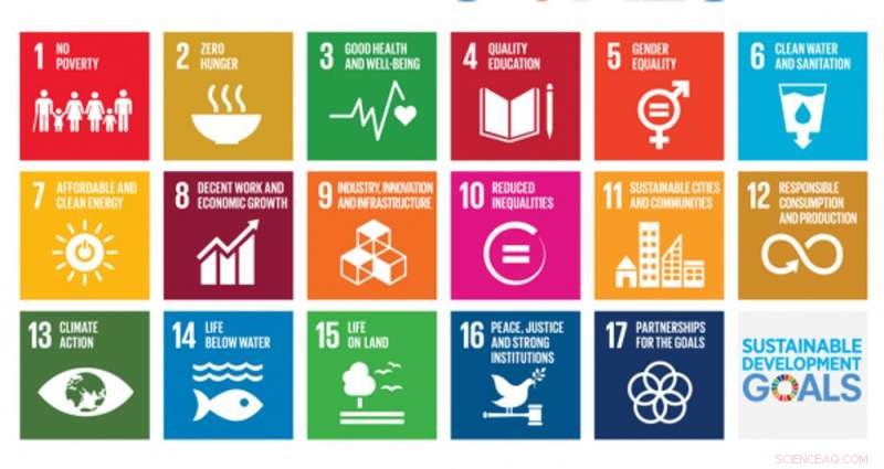 New Study Reveals Forest Growth Thrives in Regions of Rising Human Well-Being