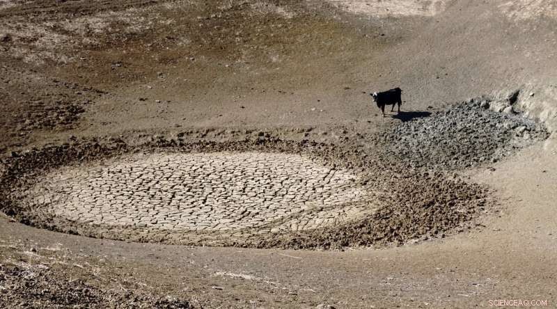 GRACE‑FO Enhances Nationwide Drought Monitoring