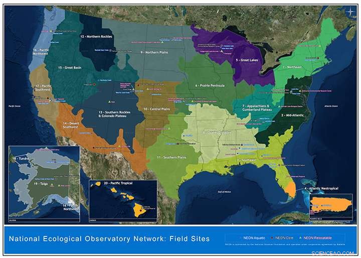 Forest Loss in One US Region Can Damage Trees on the Opposite Coast – New Study
