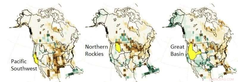 Forest Loss in One US Region Can Damage Trees on the Opposite Coast – New Study