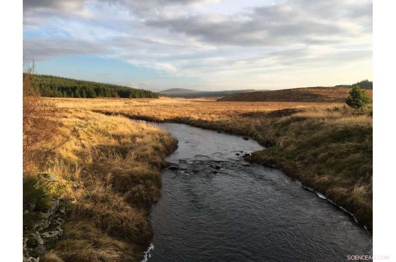 How Peatlands Secure the UK’s Water Supply