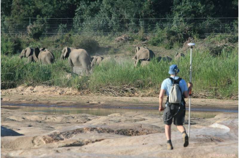 Climate Change Threatens Fragile River Ecosystems: Insights from Kruger National Park Research