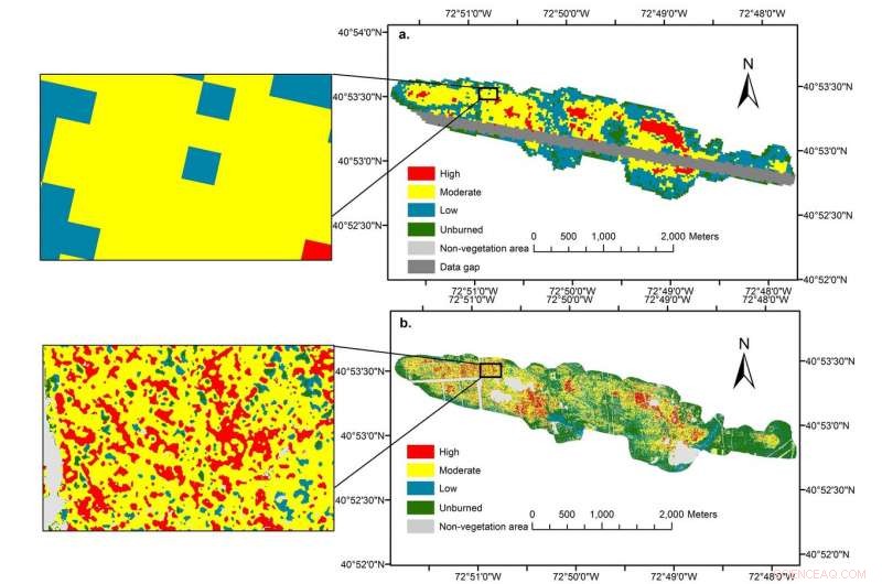 Innovative Imaging Technique Reveals Forest Fire Recovery Dynamics