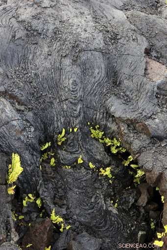 Hawaii Volcano Eruption Forces Residents to Evacuate Amid Ash and Lava