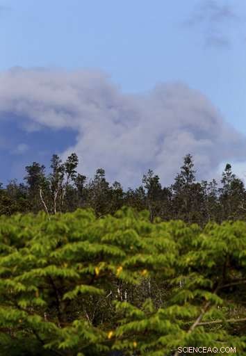 Hawaii Volcano Eruption Forces Residents to Evacuate Amid Ash and Lava