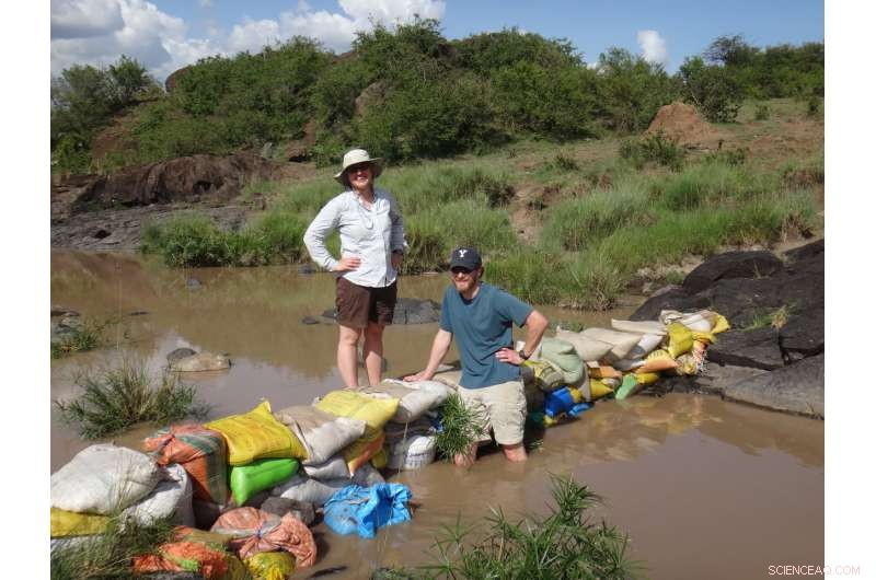 Hippo Waste Triggers Fish Kills in Africa s Mara River