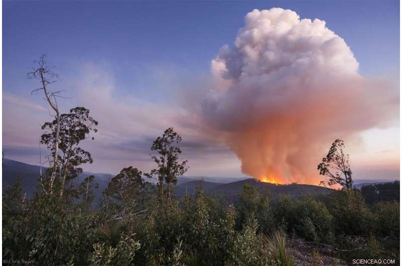 How Logging Fires Mask Industrial Pollution: A Threat to Community Safety