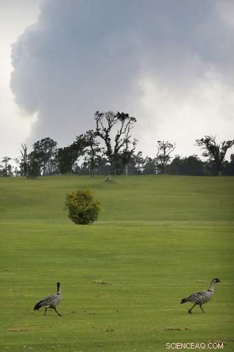 Hawaii Volcano Ash Emission Triggers Road Damage Amid Quakes