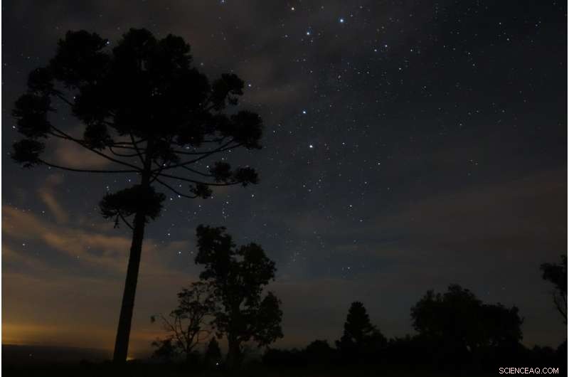 Archaeologists Reveal Ancient Human Influence on South American Forests, Not Climate Change