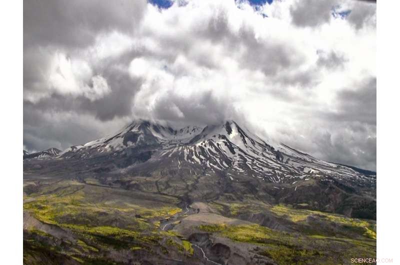 Mount St. Helens  Ecological Lessons Revealed in New Book