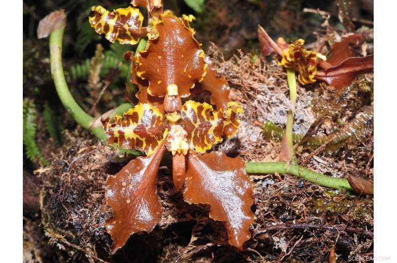 Expedition in Identidad Madid Wraps Up in the World’s Most Biodiverse Protected Area