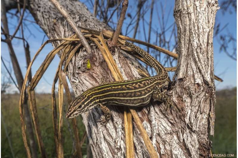 Expedition in Identidad Madid Wraps Up in the World’s Most Biodiverse Protected Area