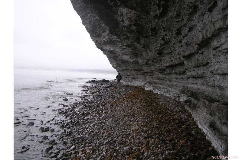 New Study Links Global Ocean Anoxia to Historical Mass Extinction