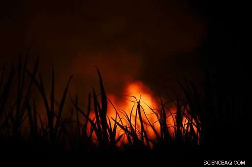 Hawaii Volcano Emits Toxic Lava-Haze Plume, Known as Laze