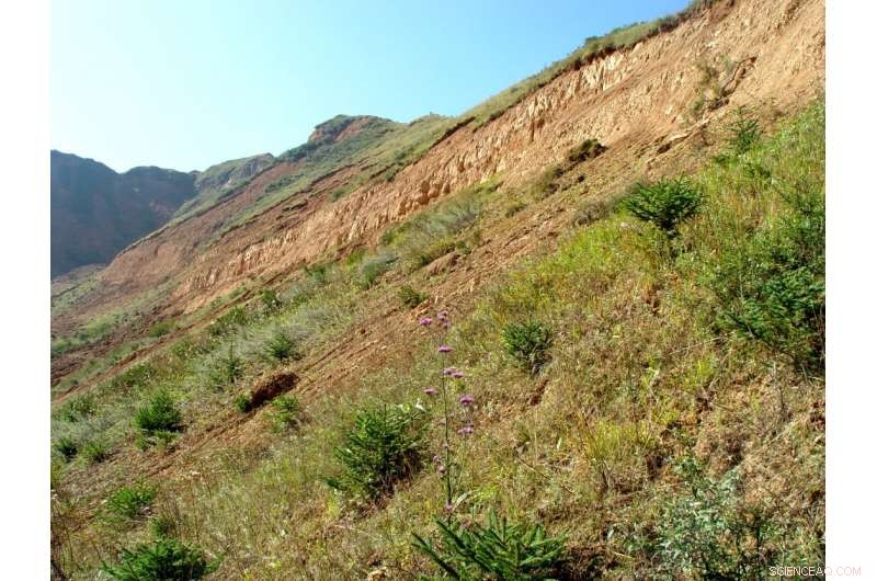 Developing a Precise 10‑Million‑Year‑Old Geologic Timescale