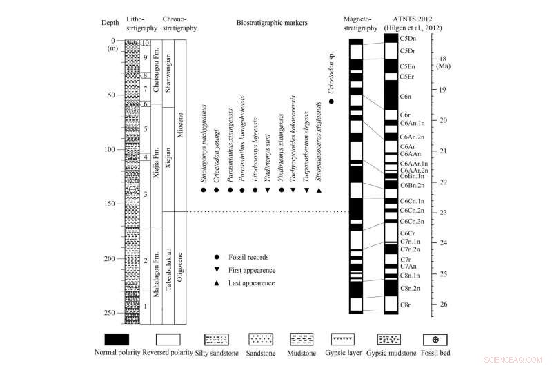 Developing a Precise 10‑Million‑Year‑Old Geologic Timescale