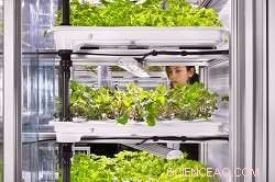 Urban Food Revolution: EU-Backed In-Store Vertical Farming