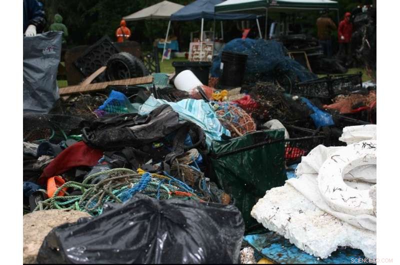 High Levels of Microplastics Detected in Baynes Sound and Lambert Channel Surface Sediments