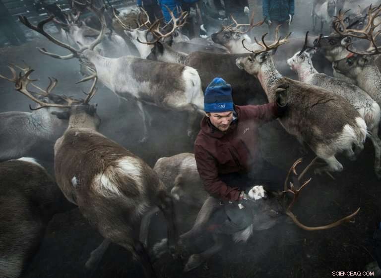 EU Faces Climate Change Challenge: Families Seek Stronger Action